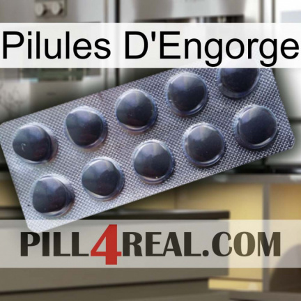 Engorge Pills 30